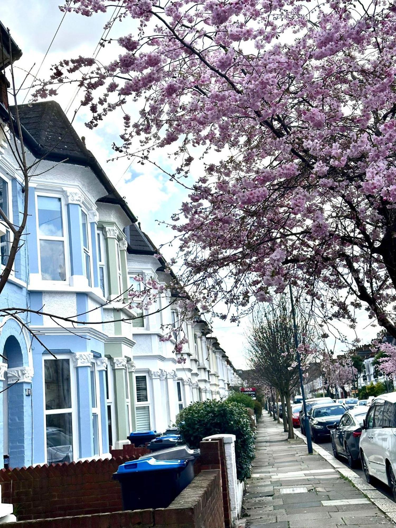 Charming, Renovated Residence In Willesden Green ลอนดอน ภายนอก รูปภาพ
